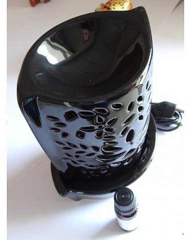 ELECTRIC DIFFUSER BOAT DESIGN - Image 2